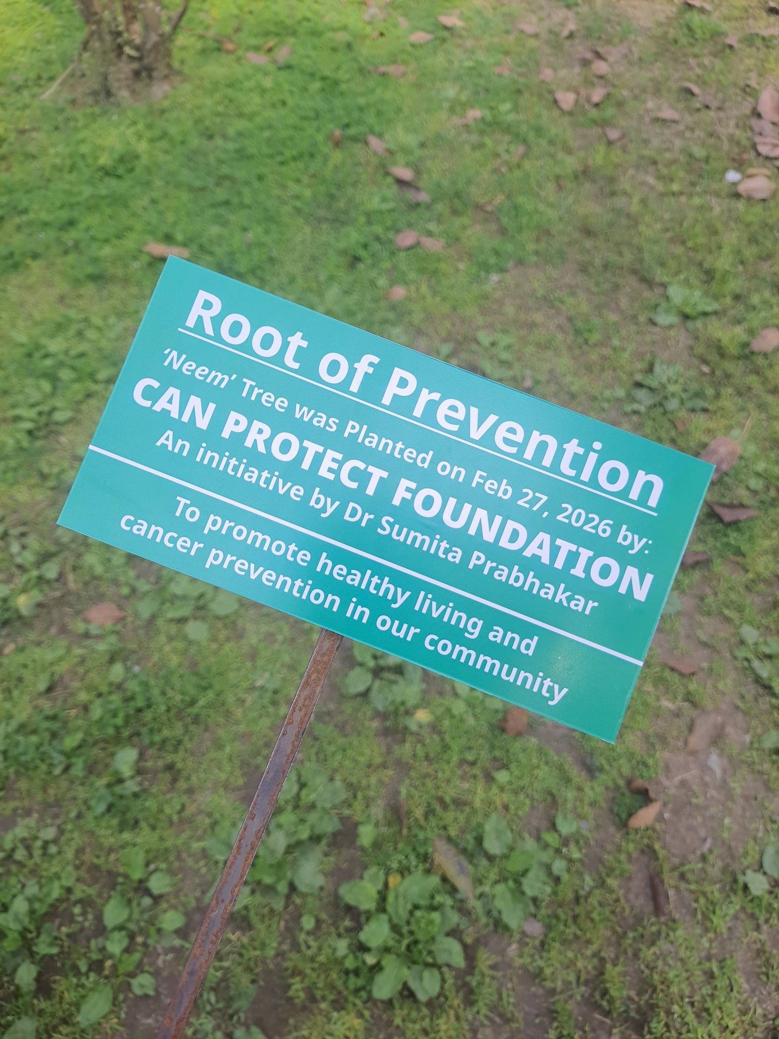 Root of Awareness by Can Protect Foundation